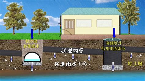 樹穴是什麼|綠化、基地保水、綠建 材設計技術規範解說